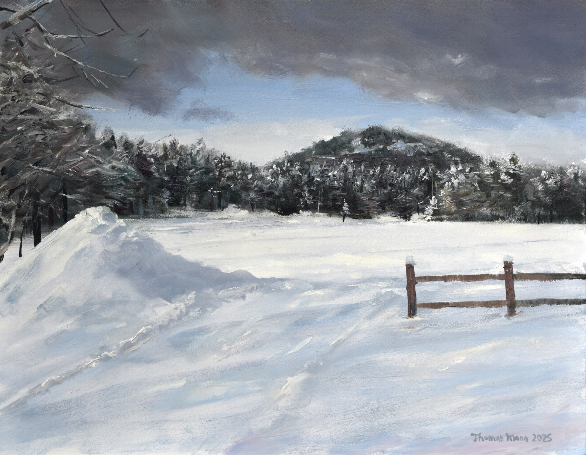 Storm and Snow