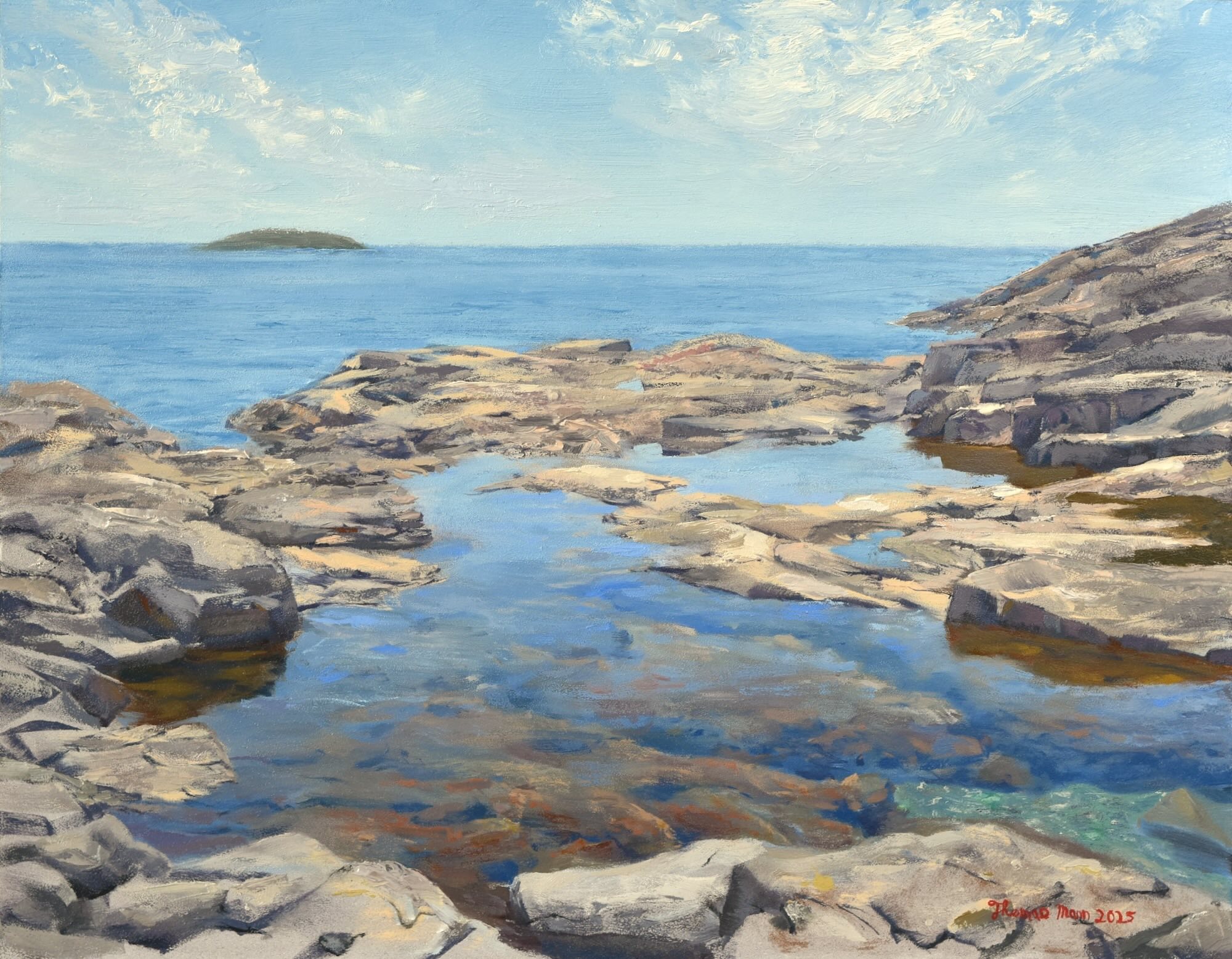 Tidal Pool