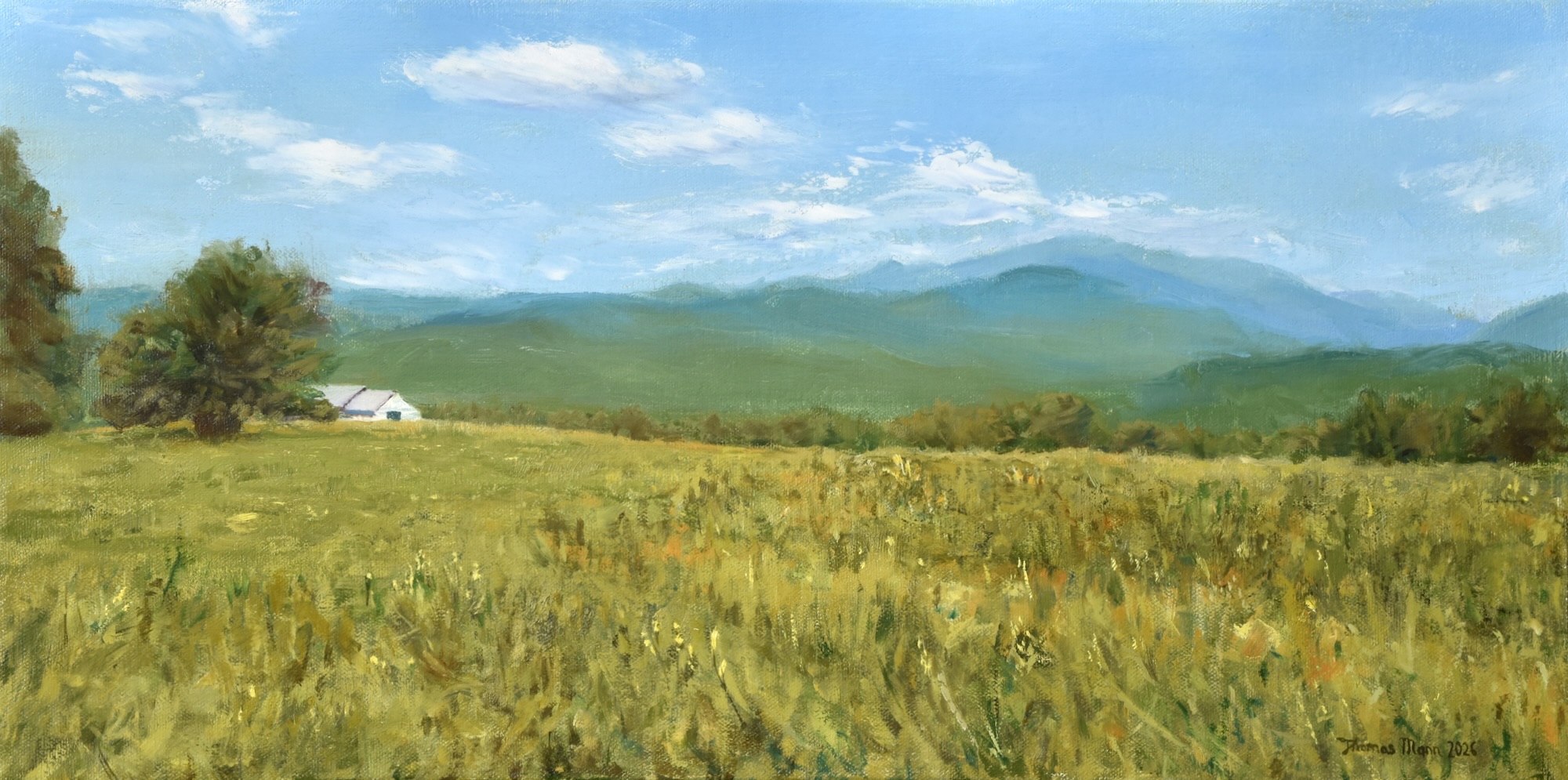 Mt Washington from Iron Mountain Trail